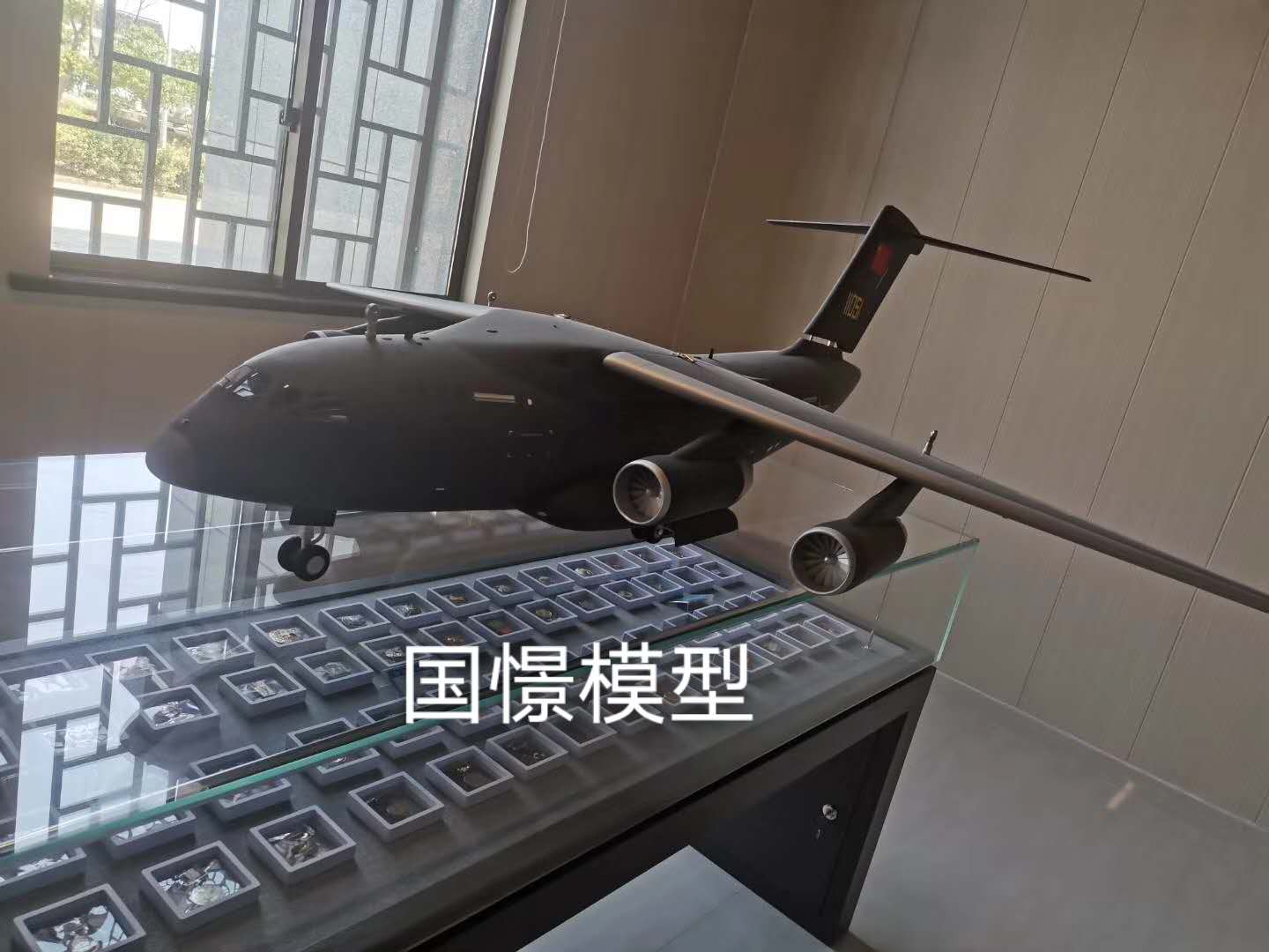 灵武县飞机模型
