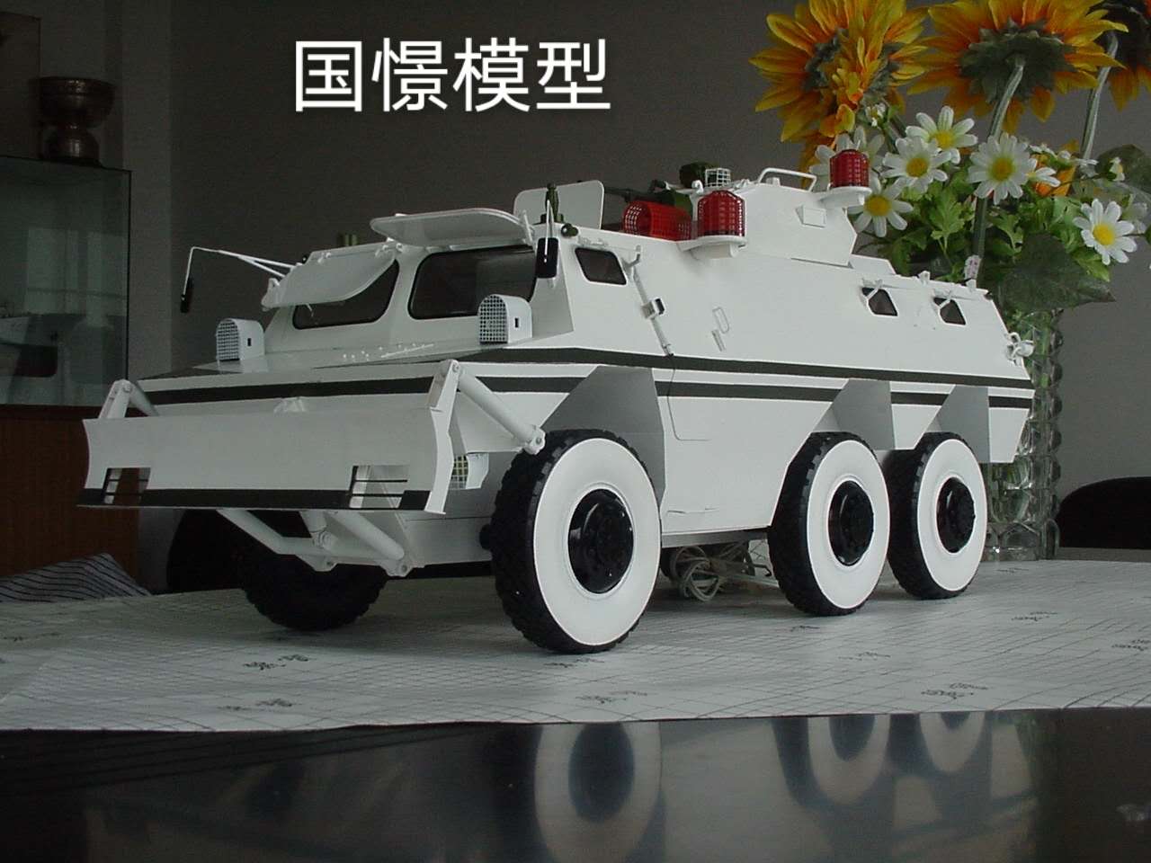 灵武县军事模型